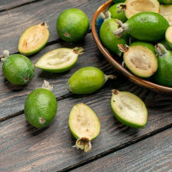 Acca Sellowiana Feijoa (Guava ananásová) - kont. C7/9L, výška: 70-90 cm